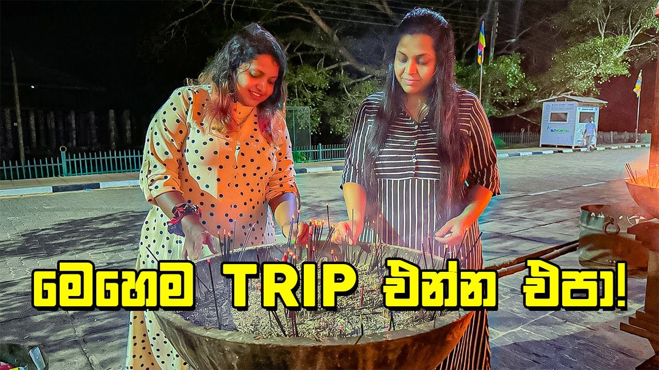 කම්මැලියො ට්‍රිප් ගියාම වෙන දේ - VLOG 278