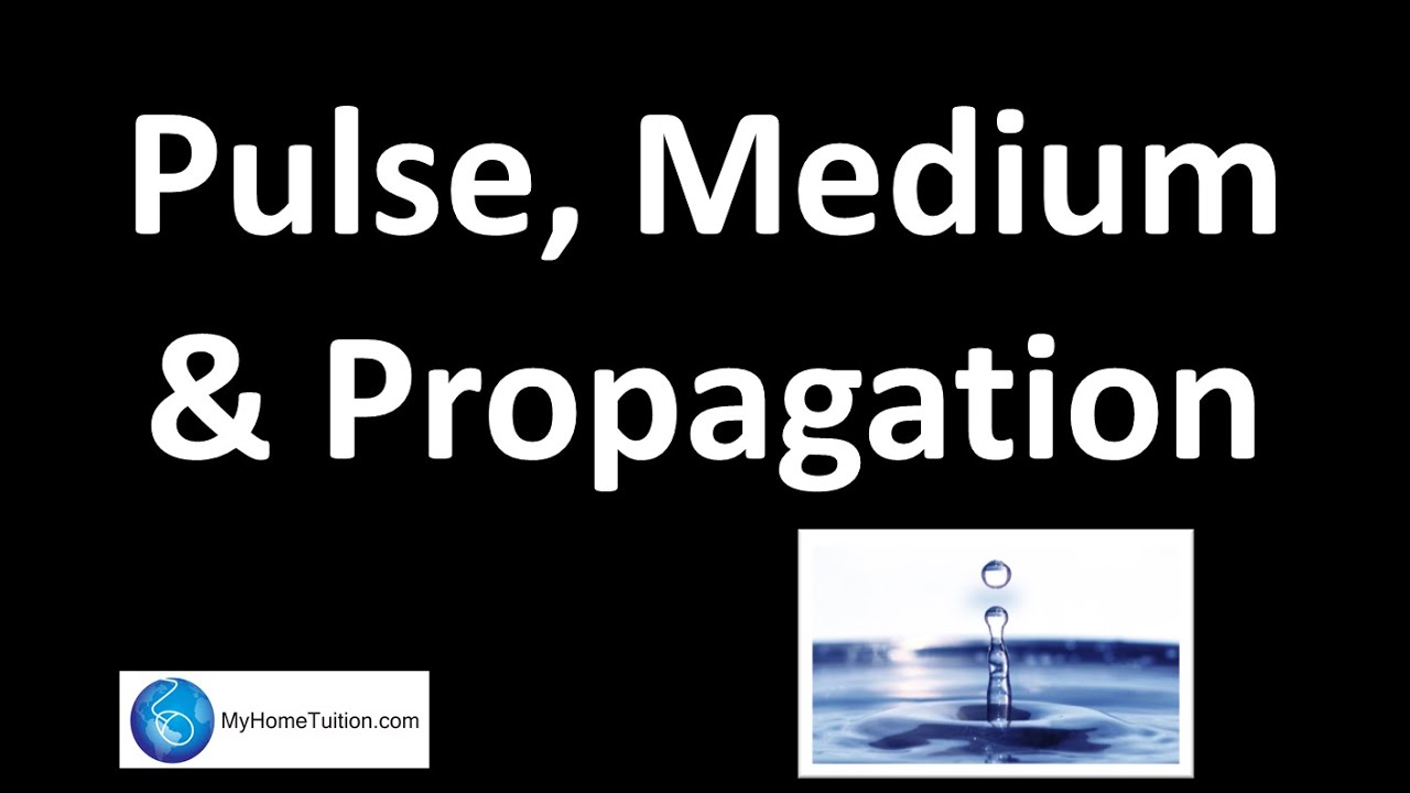 Pulse, Medium and Propagation of Waves | Physics