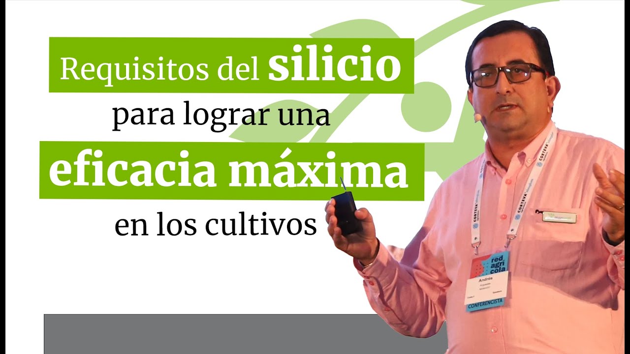 El silicio: su uso en la agricultura y su importancia en los cultivos