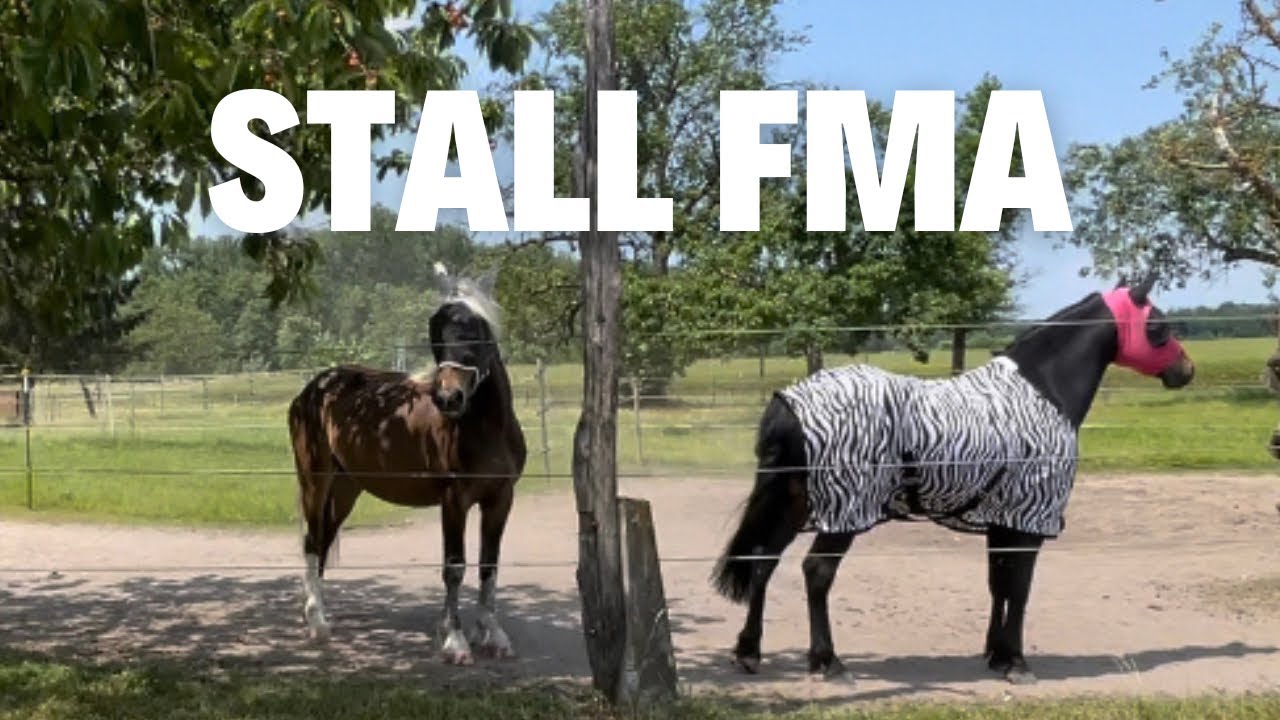 Stall FMA🐴/Unser Traumstall ❤️