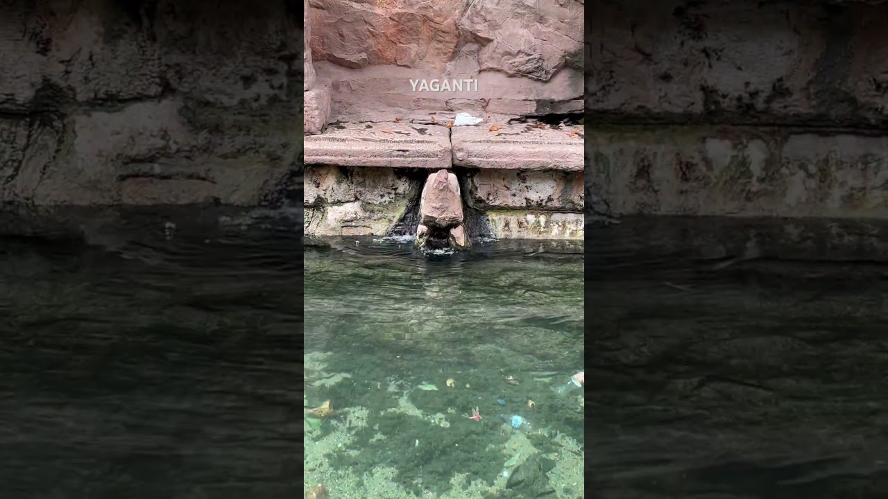 Nature # Temple # Nature #
