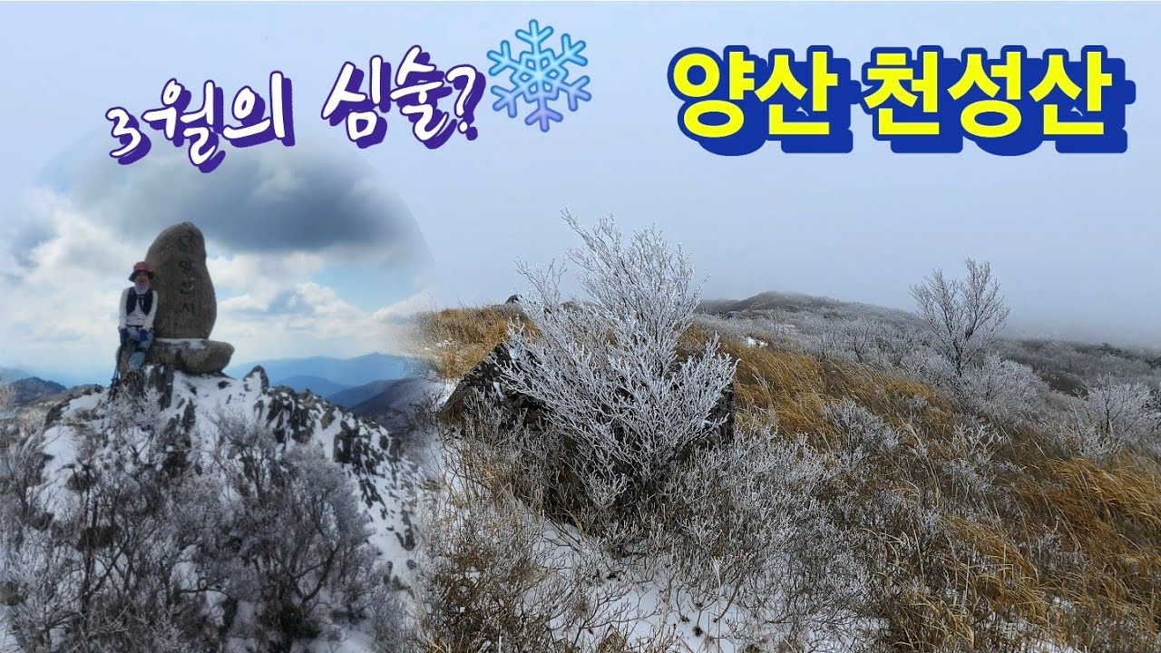 3월에 이런 심술을? ❄️ 100대 명산 양산 천성산 미타암 코스 | 비로봉·원효봉 상고대 능선 설산 산행