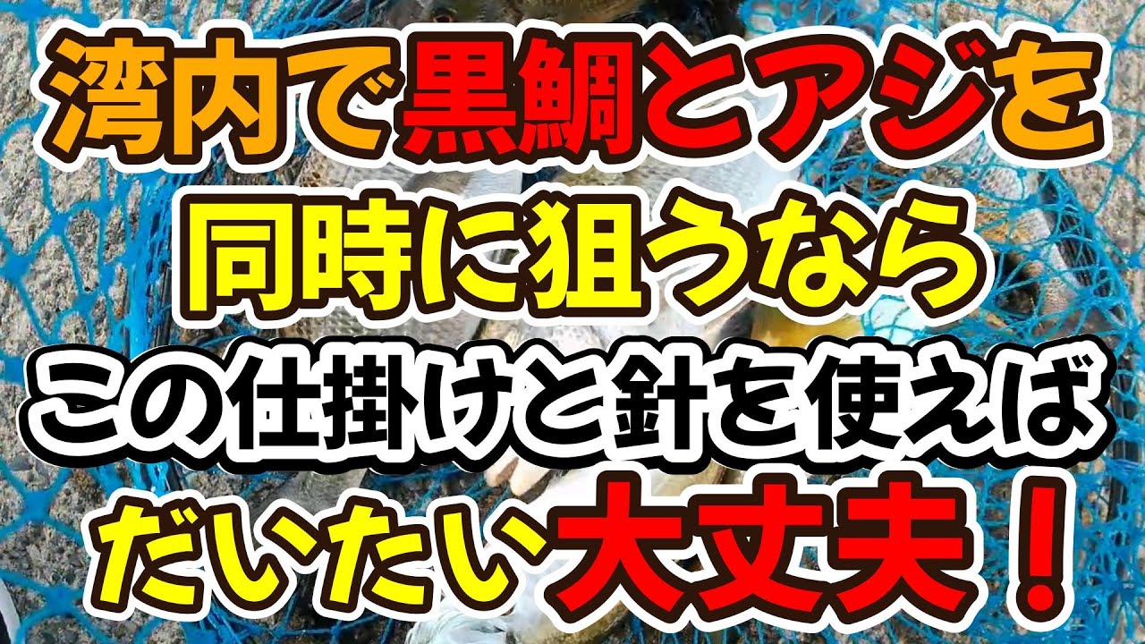 湾内で黒鯛と良型アジを同時に狙うなら、この仕掛けと針を使えばだいたい大丈夫！！（仕掛け解説あり）