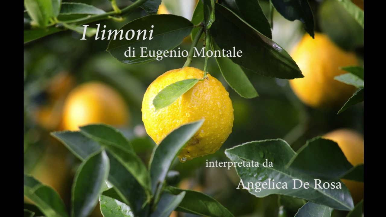I Limoni, di Eugenio Montale, interpretata da Angelica De Rosa