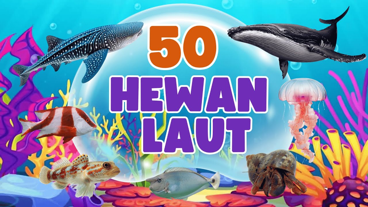 Выучите 50 названий морских животных для детей | Детское образование