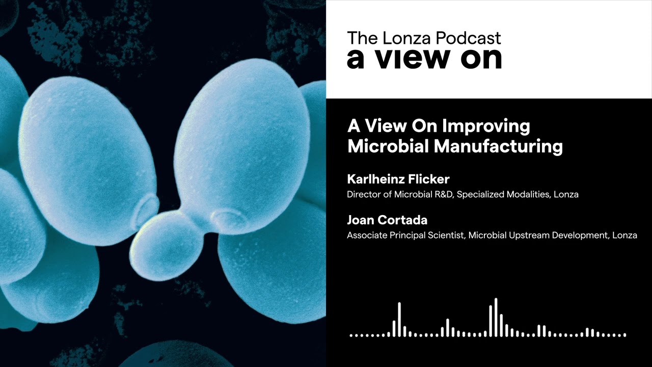 A View On Improving Microbial Manufacturing