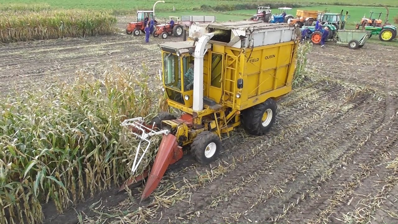 Hesston Field Queen - Classic harvesting