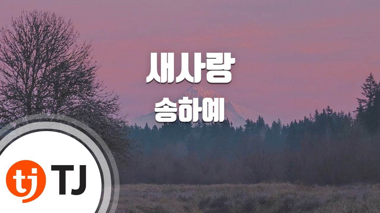 [TJ노래방 / 남자키] 새사랑 - 송하예 / TJ Karaoke