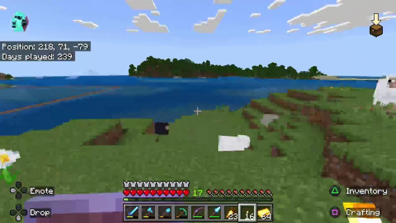 Doing Stuff In Minecraft