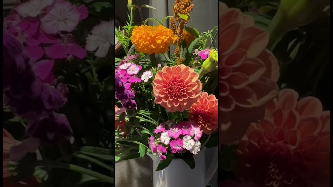 It&rsquo;s Flora Friday.. and all is right in the world 🥰💐
