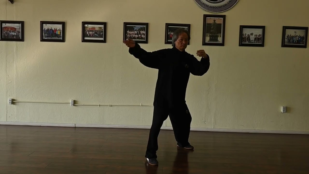 A Lifetime of ChenTaiChi Technique Demo  EP 38
