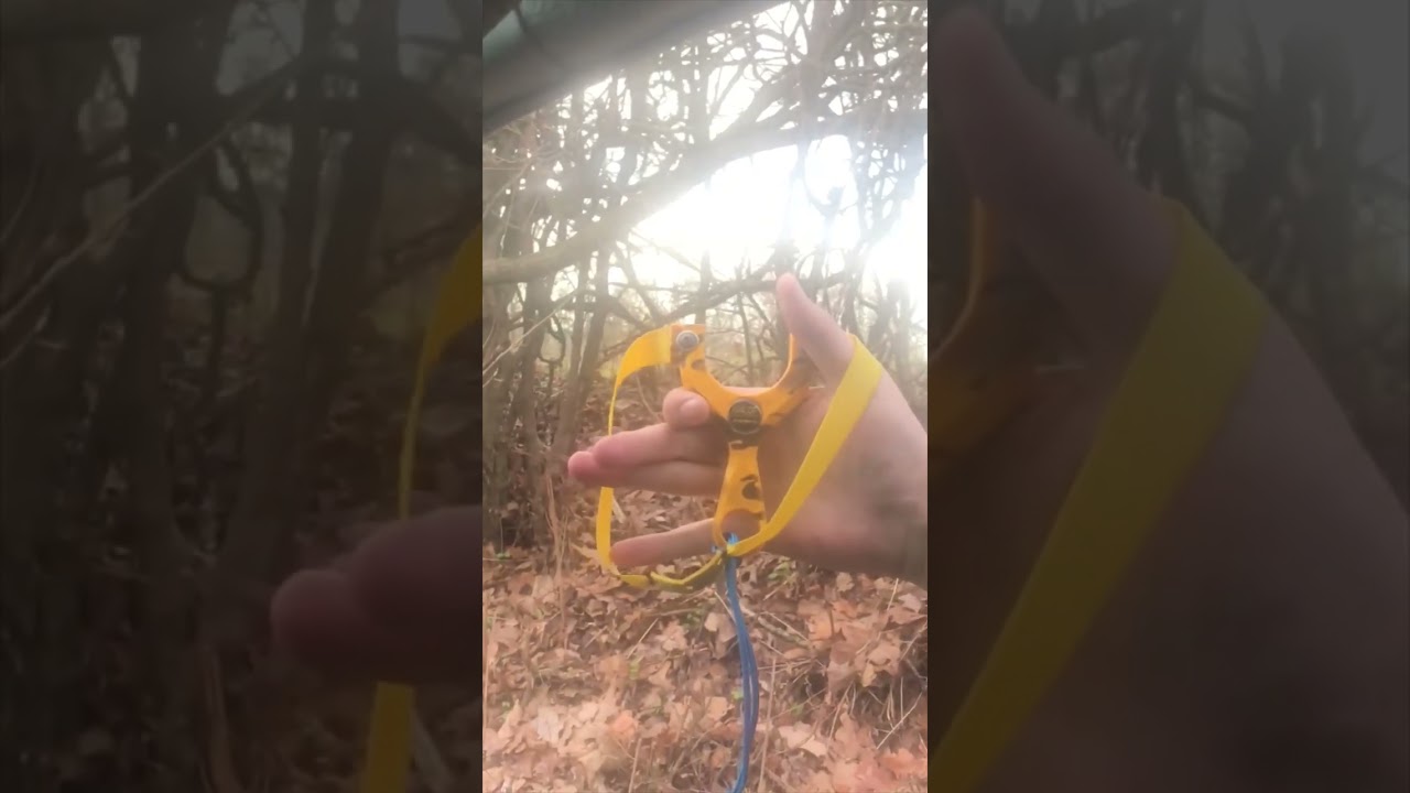 #catapult#hunting#pheasant#and#squirrel#catch#&#cook