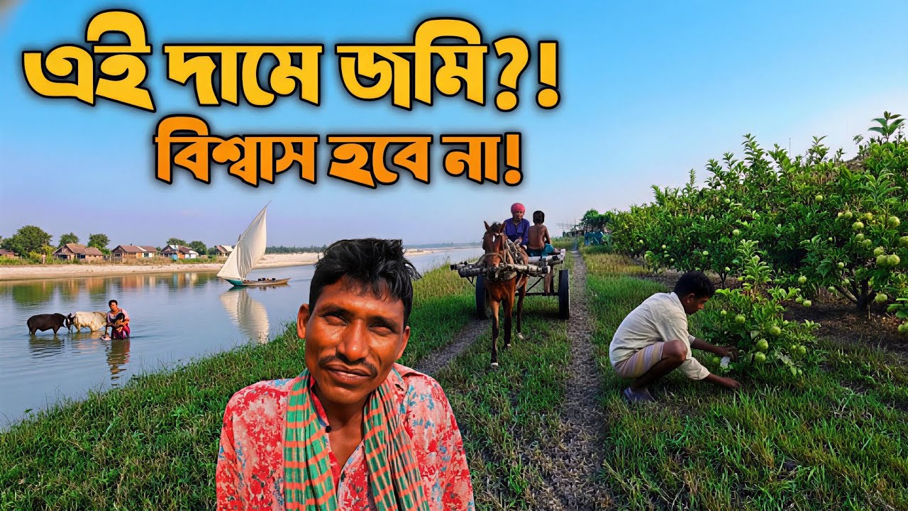 এই দামে জমি এখনো আছে! বিশ্বাস না হলে ভিডিওটি দেখুন