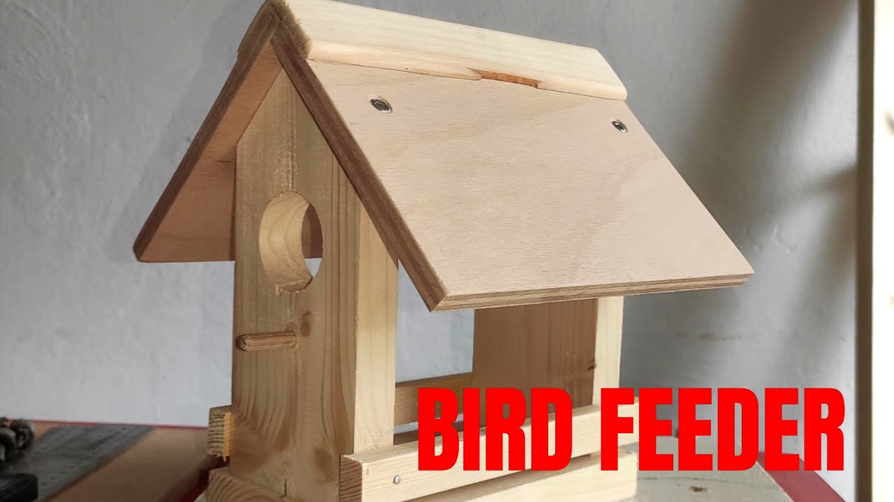 Bird feeder making | DIY