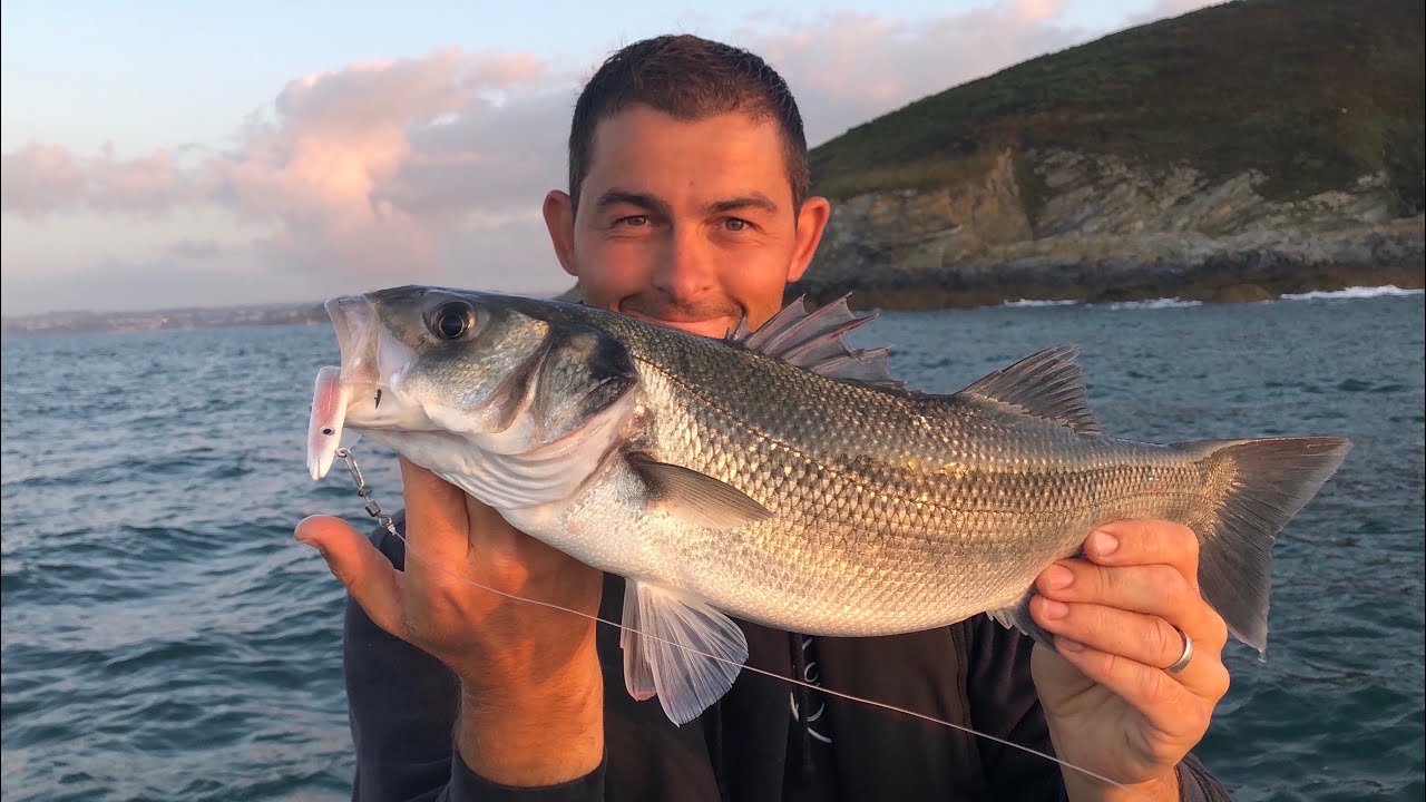 Bass Fishing - Lure Fishing For Bass - Bass Fishing UK | The Fish Locker