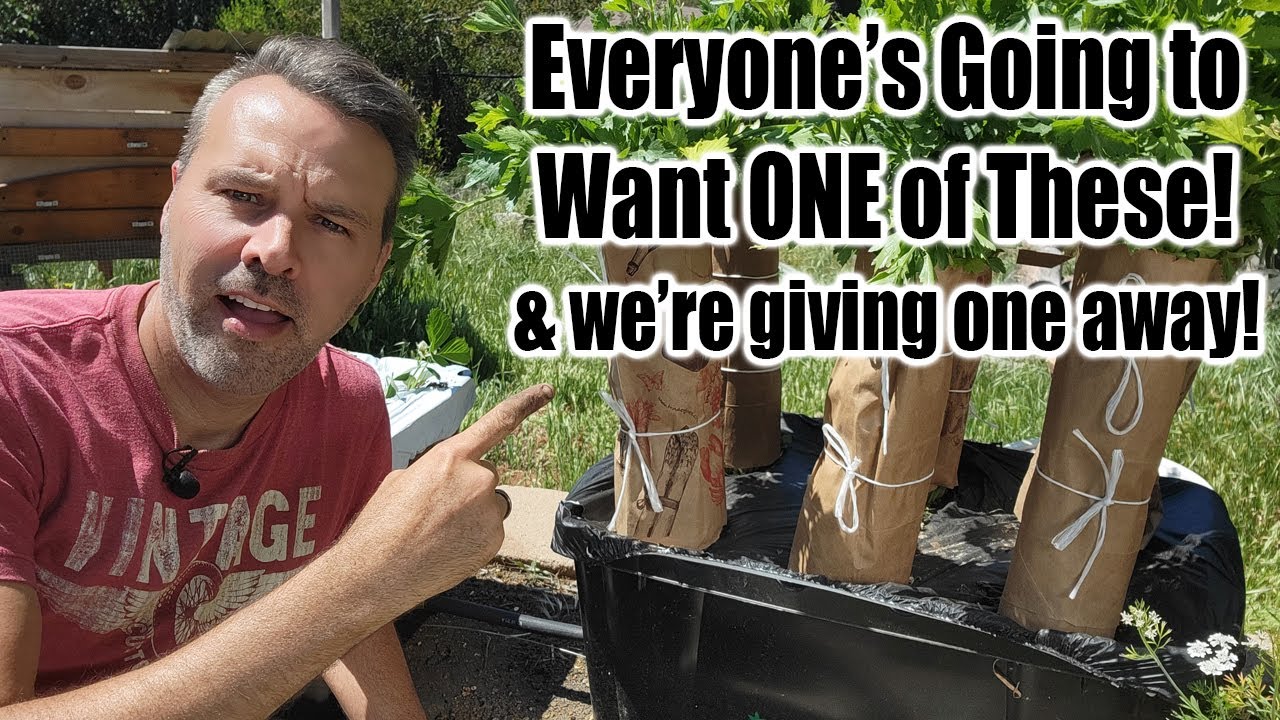 Self Watering Container Garden!