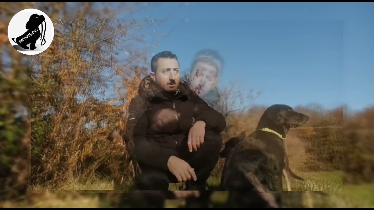 tre consigli per migliorare il tuo rapporto col cane