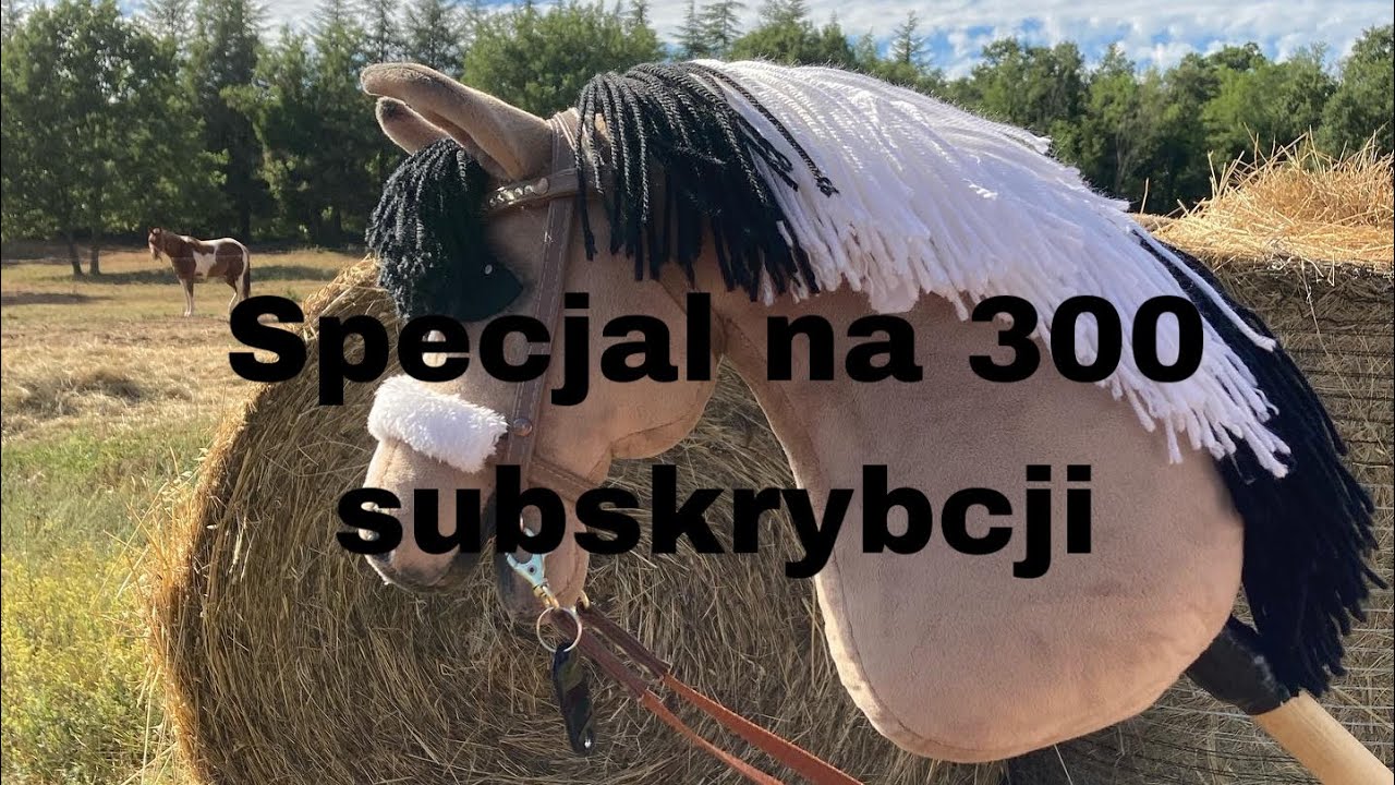 Specjal na 300 subskrybcji | wszystkie moje Hobby Horse