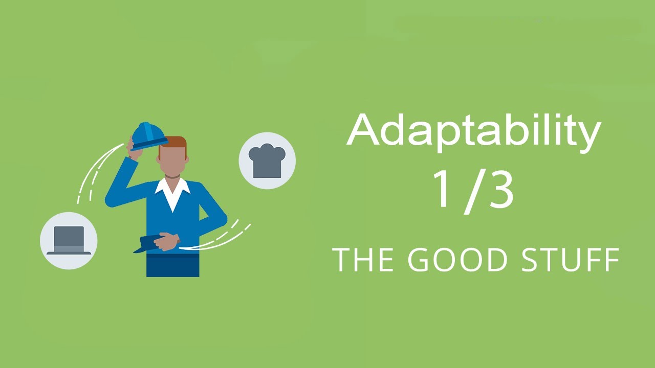 Adaptability 1\3 - Gallup Strengthsfinder