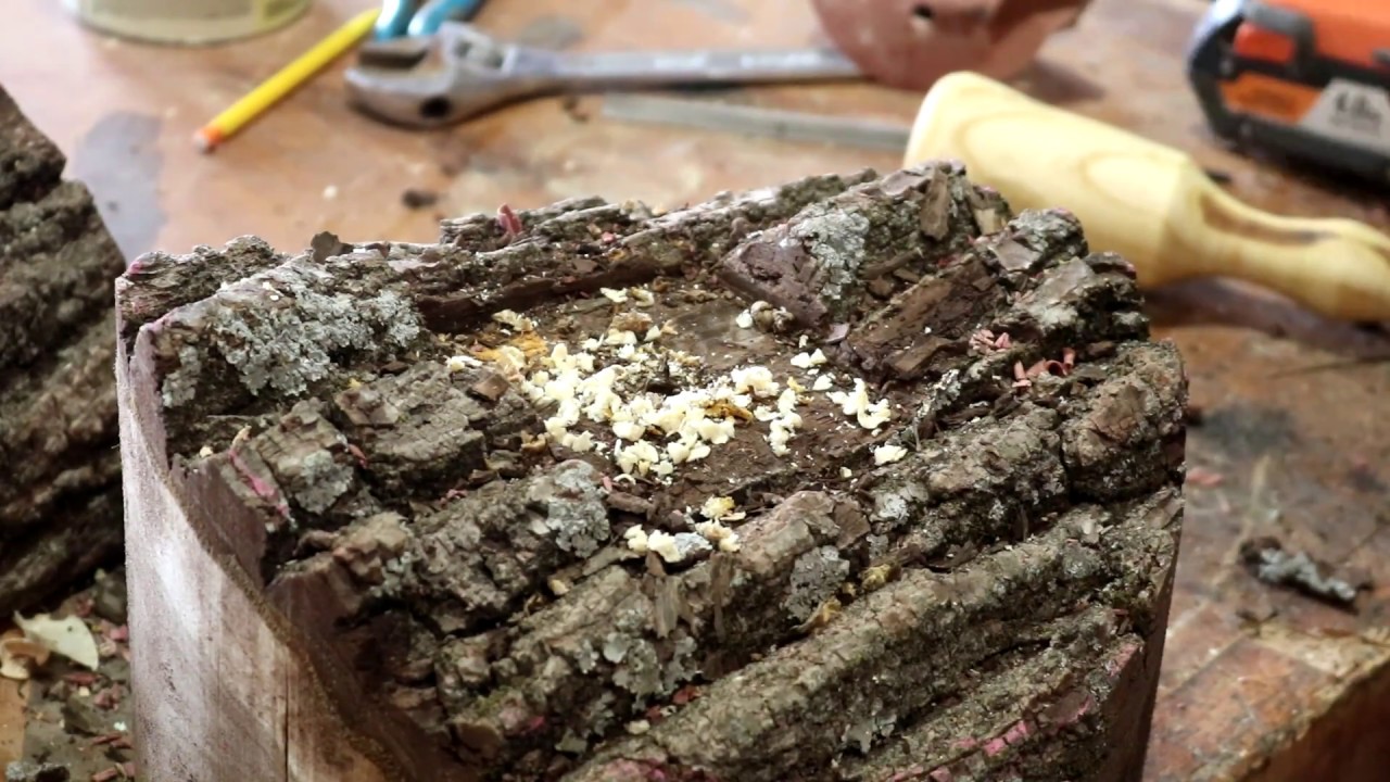 Walnut live edge bowl, A gift