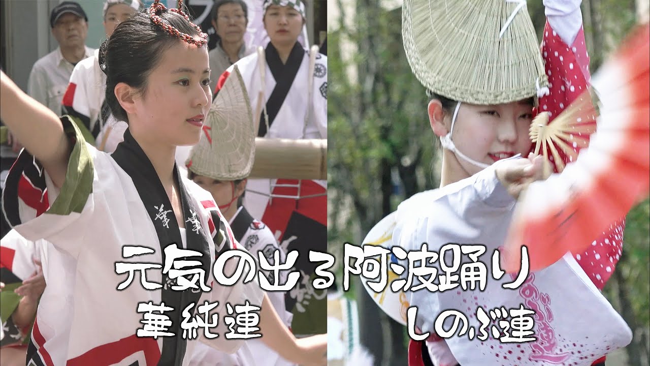 元気が出る踊り⑬「華純連・しのぶ連 」曳舟お宝市と清瀬の阿波おどり（2021.6.23）