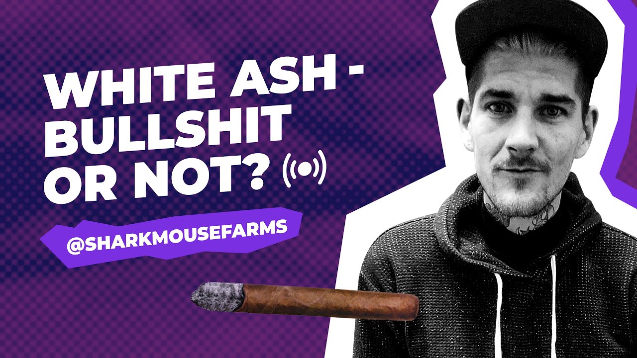 Debunking the white ash myth SHARKMOUSE FARMS | Cannaflix