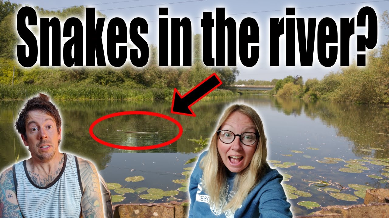 Narrowboat CRUISE leads to TERRIFYING wildlife ENCOUNTER | Floating Van life ENGLAND | DISASTER DIY