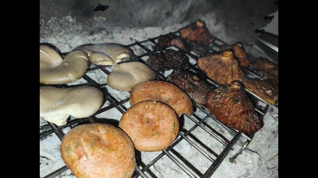 Girgolas y níscalos a la brasa final de Noviembre