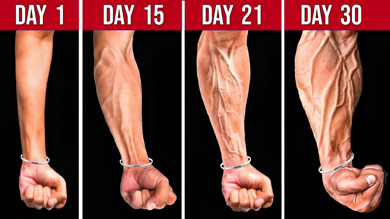 Forearm Exercises for Beginners