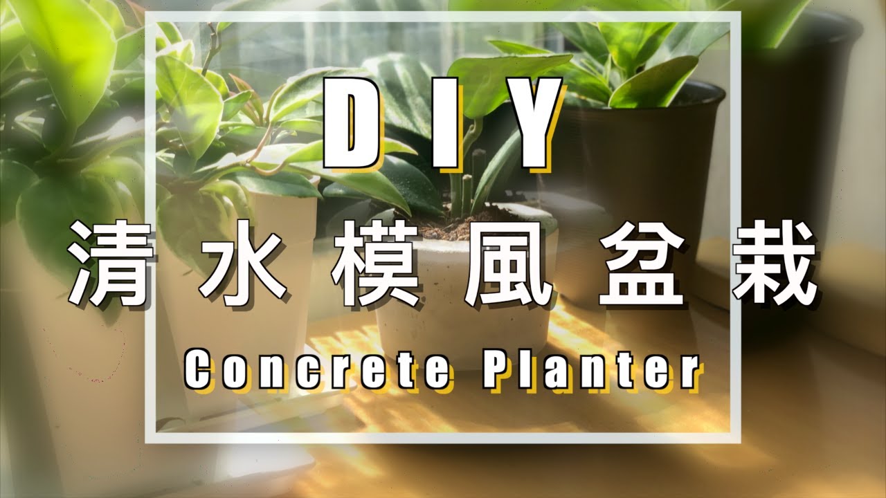 Concrete Planter DIY 手作水泥盆 ｜日式清水模文青小花園打造｜MONICA deSING DIY EP.1