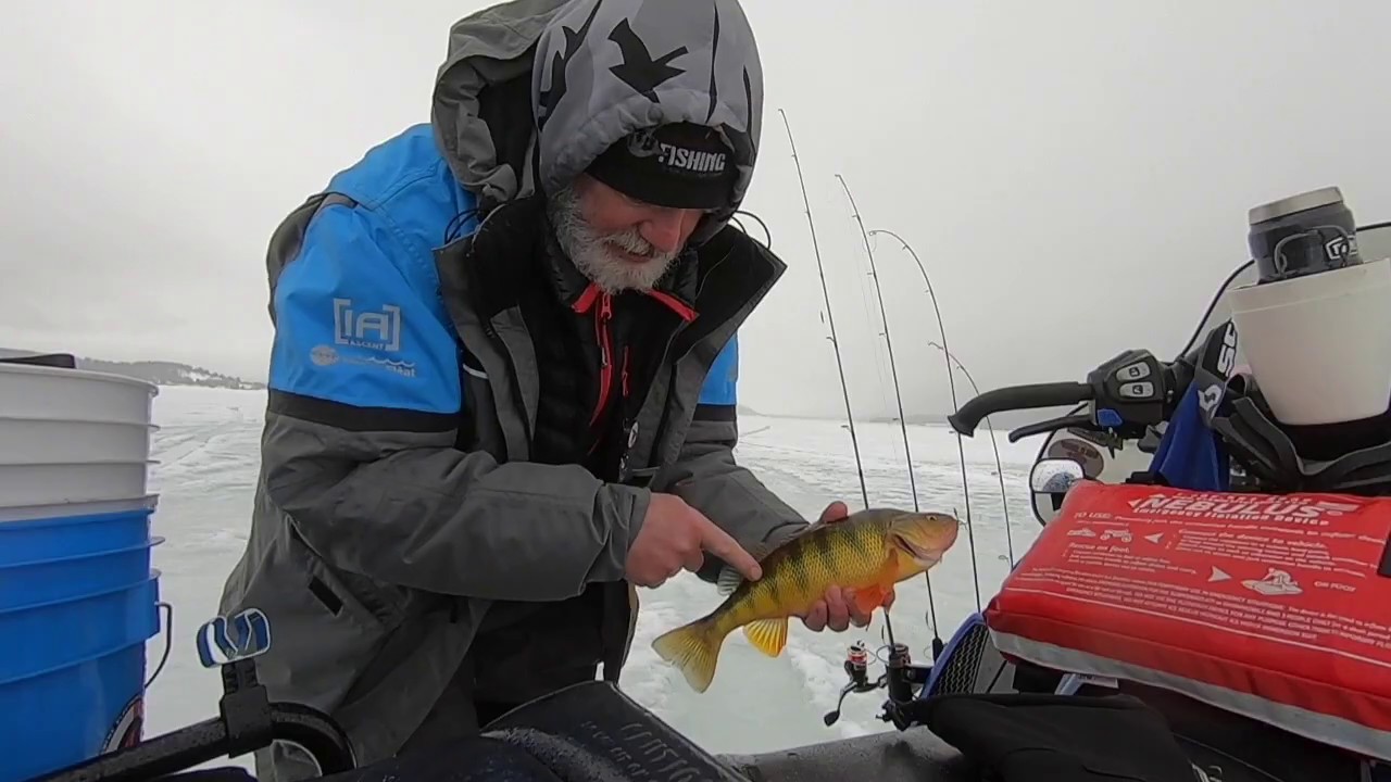 Cascade 2020 Perch A Palooza Part 2