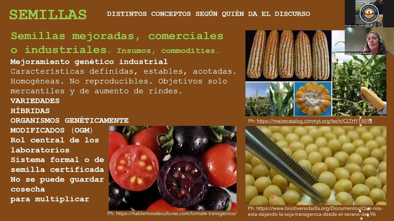 Autoproducción de Semillas