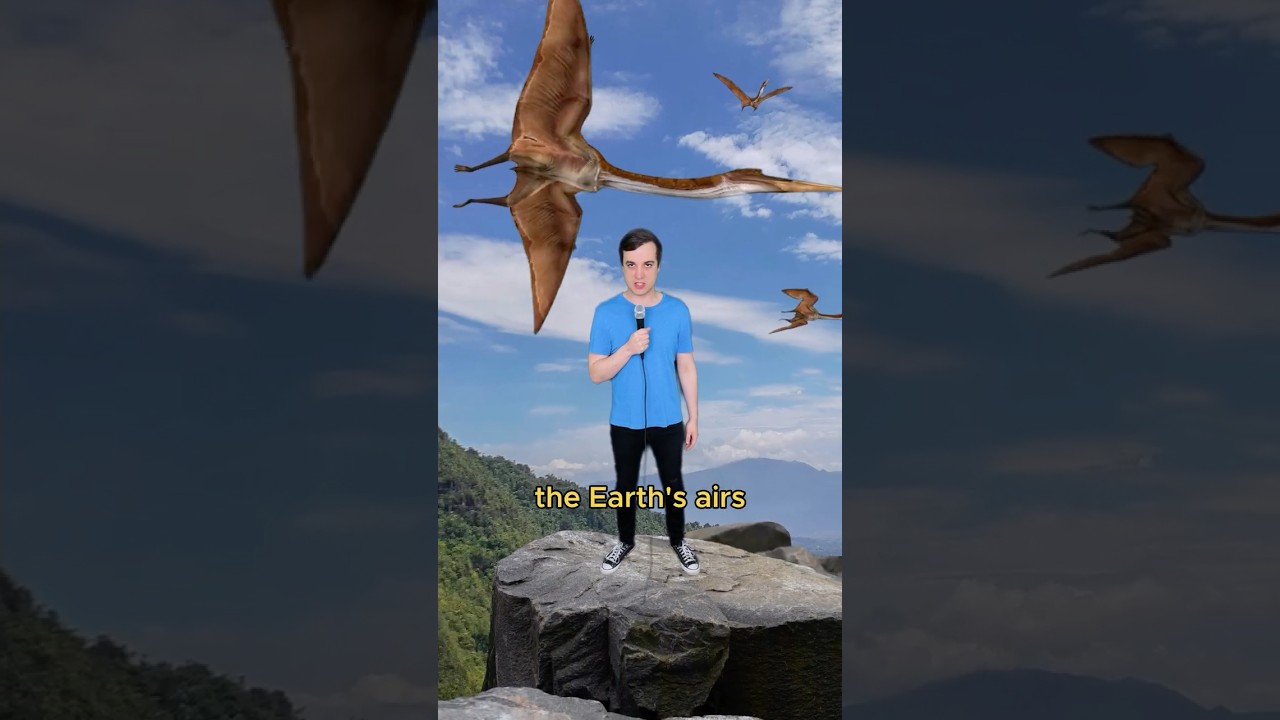 If dragons were real #comedy #music #quetzalcoatlus