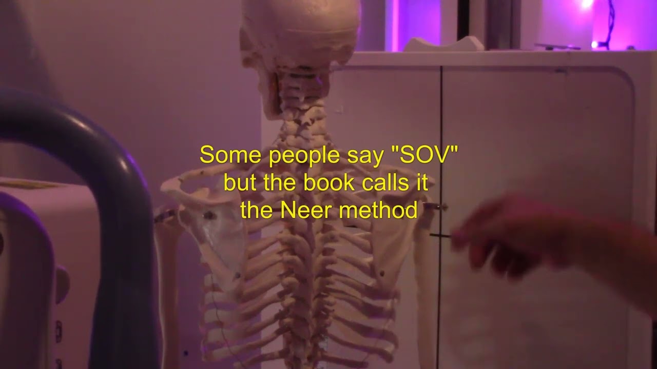 Y view Shoulder