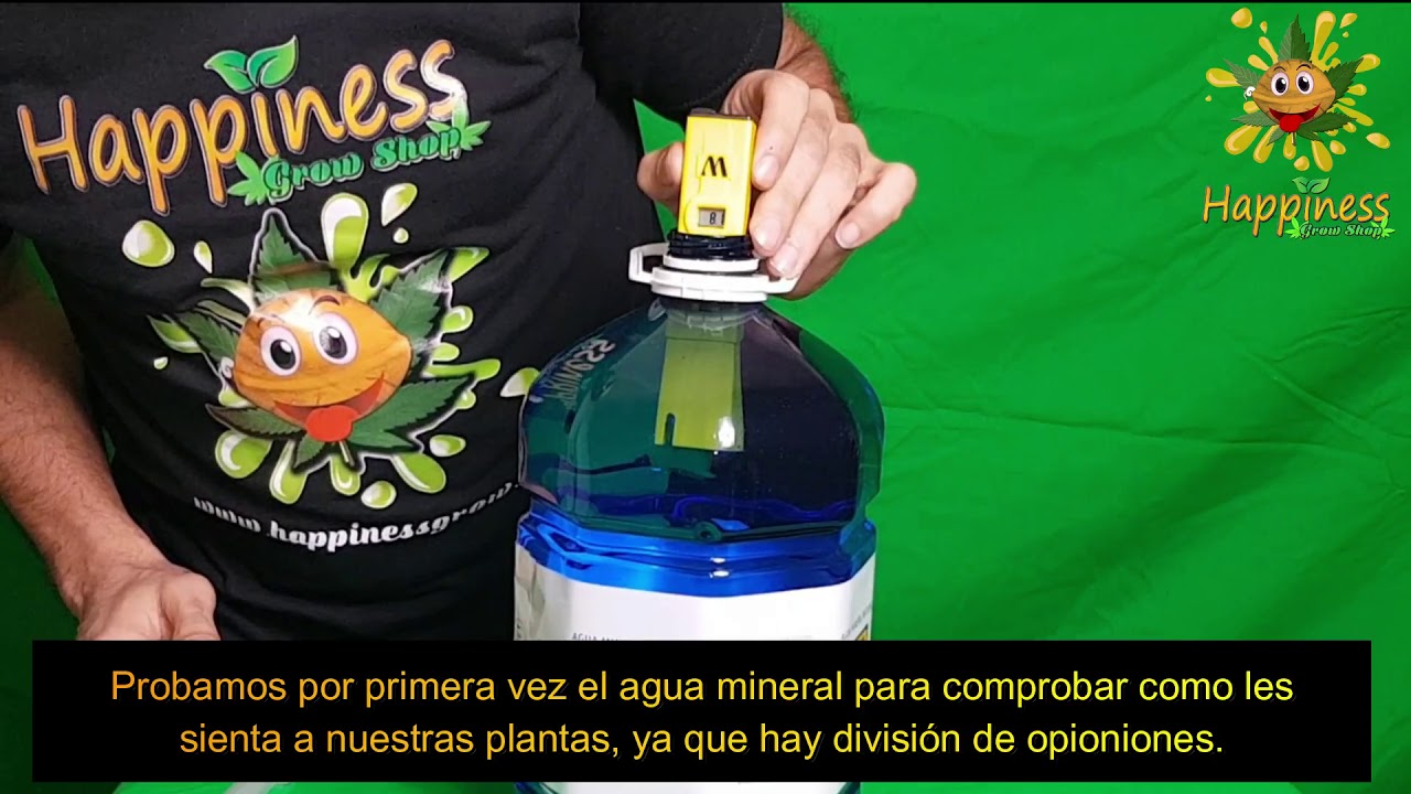 Seguimiento autoflorecientes  D&iacute;a 29  Riego con enzimas y agua mineral en Floraci&oacute;n