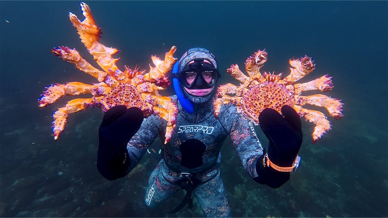 Can't Believe We Finally Found Them (Puget Sound King Crab)
