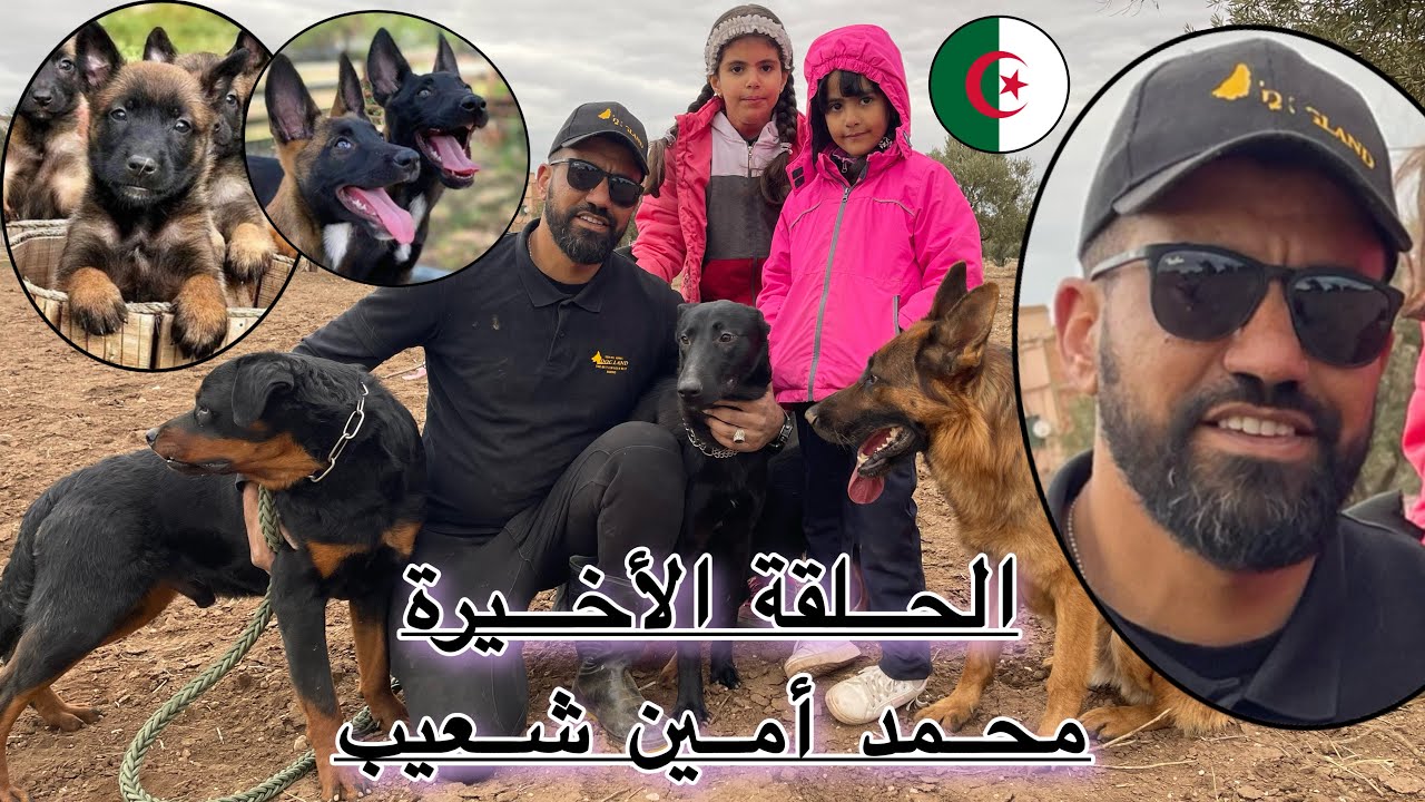 حبيت نفتح مركز لتدريب  الكلاب في الغرب بصح لقيت بزاف عراقيل ا المروك 🇲🇦 هربوا علينا في هذا المجال