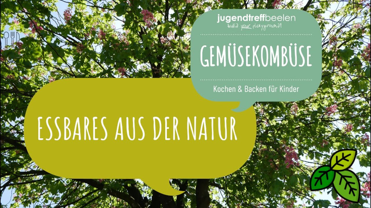 Essbares aus der Natur | Gemüsekombüse