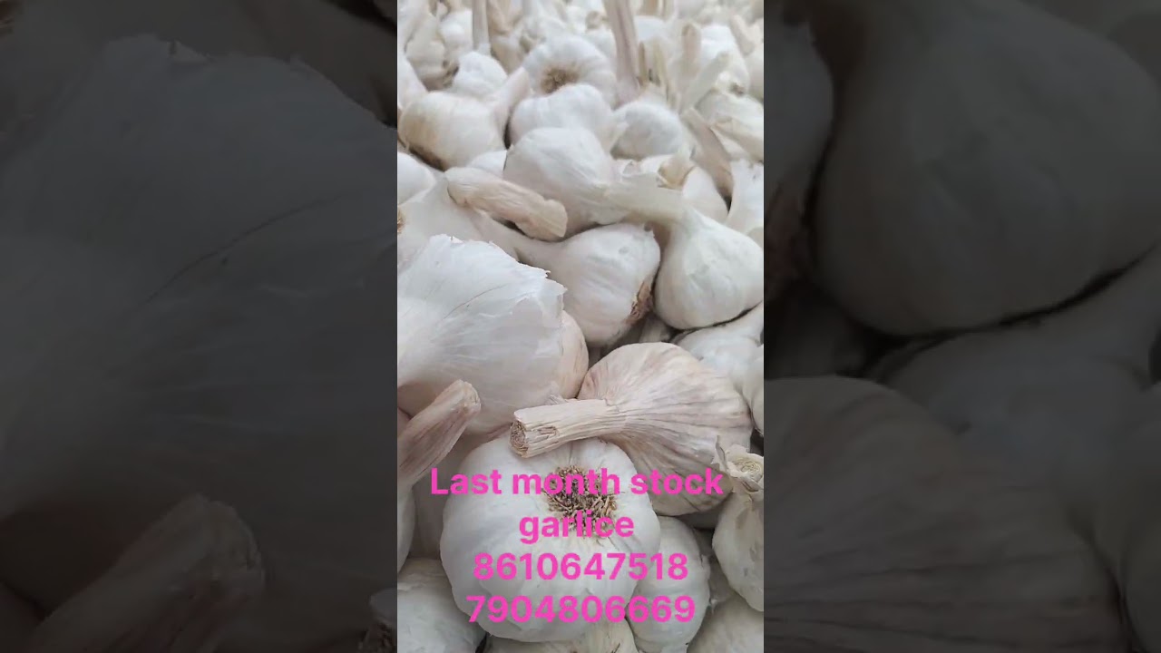 Last months stock garlice