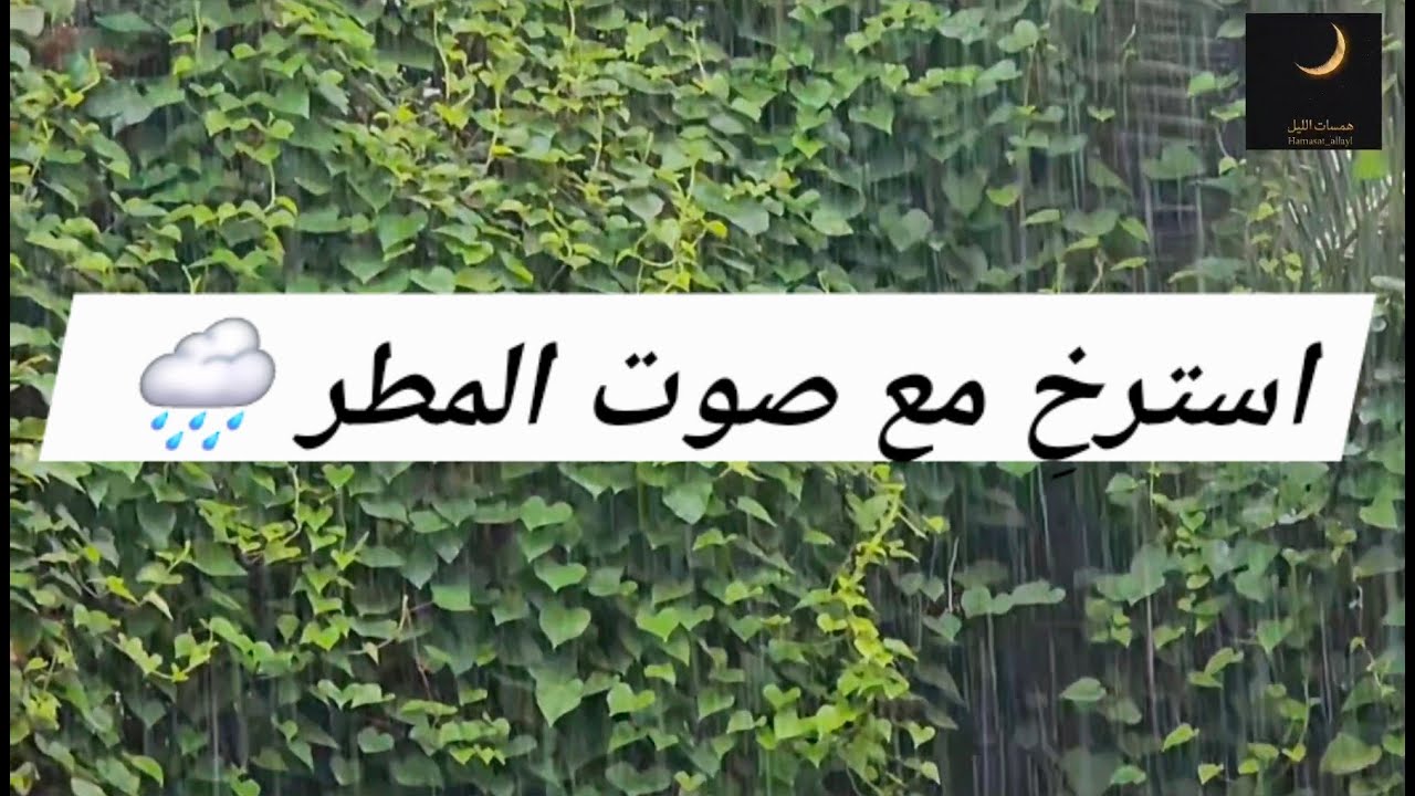 صوت مطر حقيقي يريح الأعصاب 🌧️ 40 دقيقة للنوم والدراسة (هدية لكل قلب) | Real Rain Sounds🌿🌧️