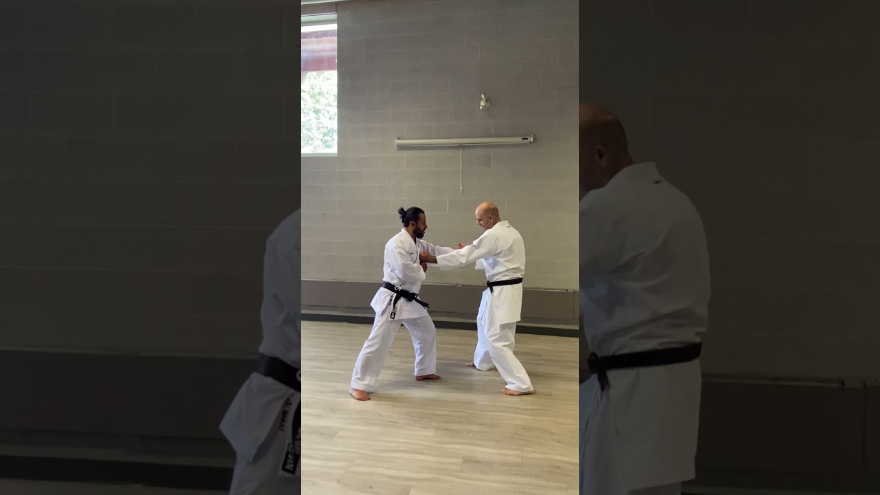Wado Karate Kumite Gata #9 #martialarts #wadoryu