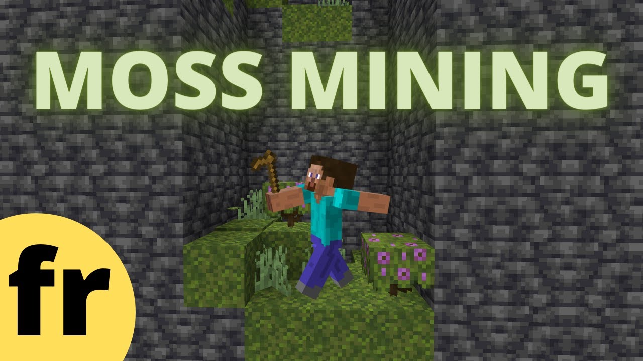 Le moss mining : creuser a la vitesse de l'&eacute;clair