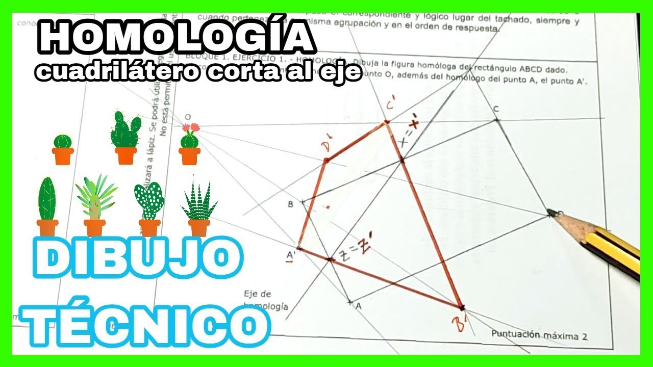 HOMOLOGÍA - EBAU Extremadura 2020, RECTÁNGULO homólogo [que corta✂️ al eje✅]