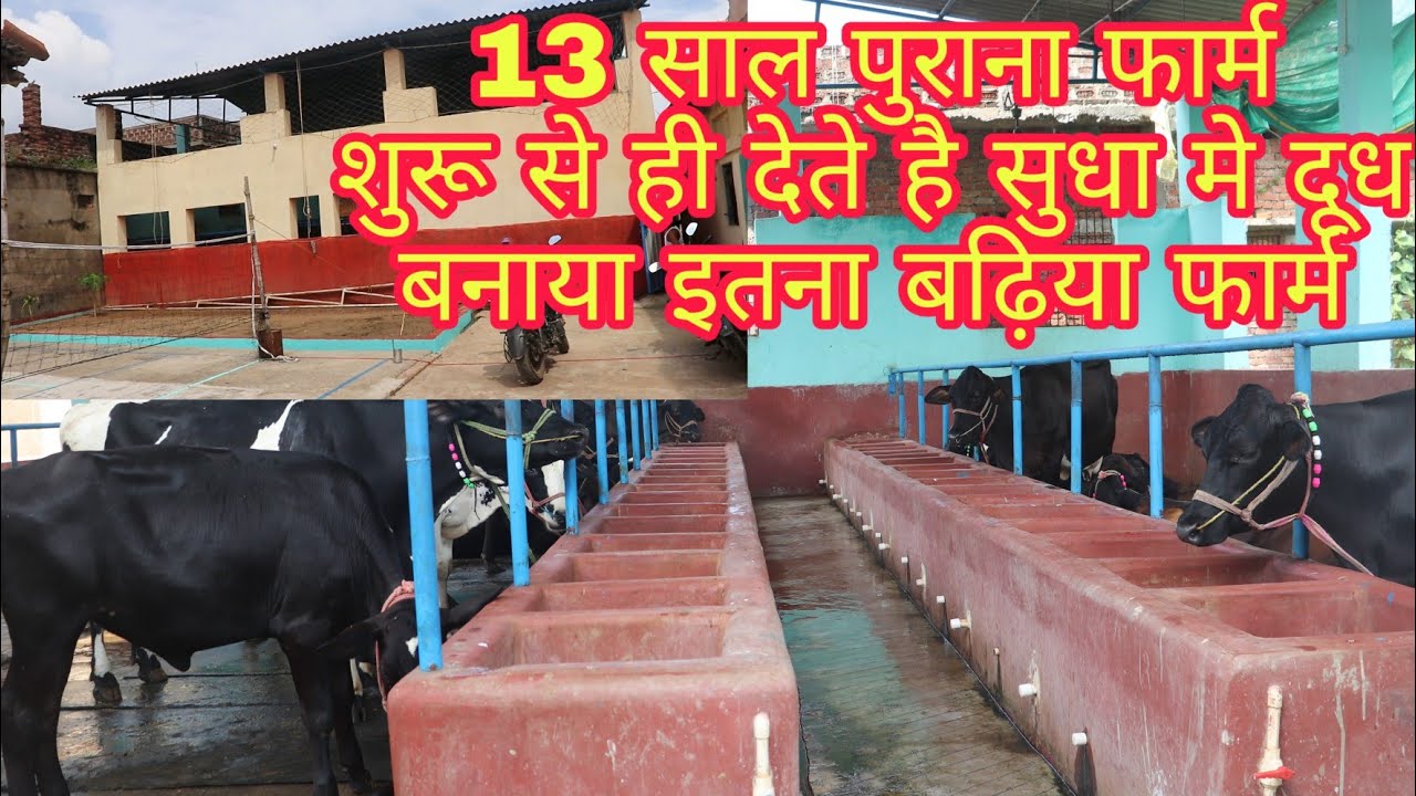 Arya Dairy Farm Arwal kinjar Bihar