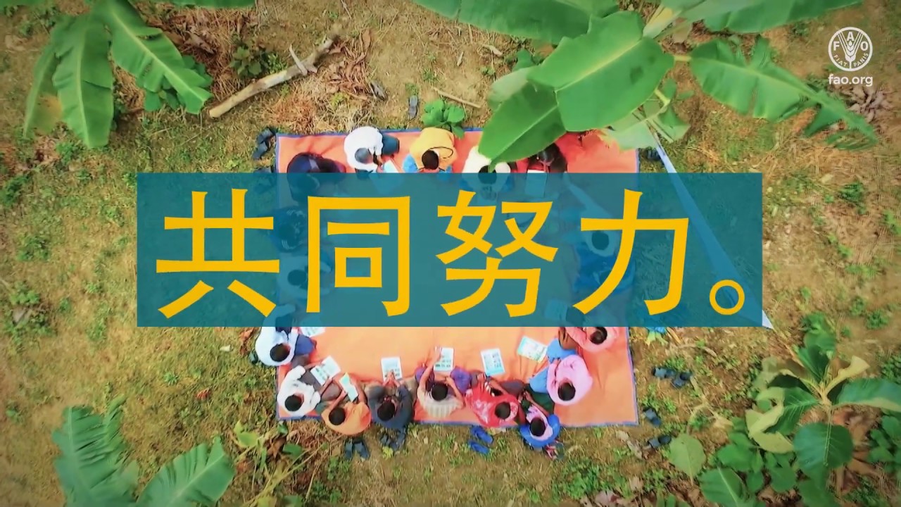 世界食品安全日-食品安全与我们息息相关