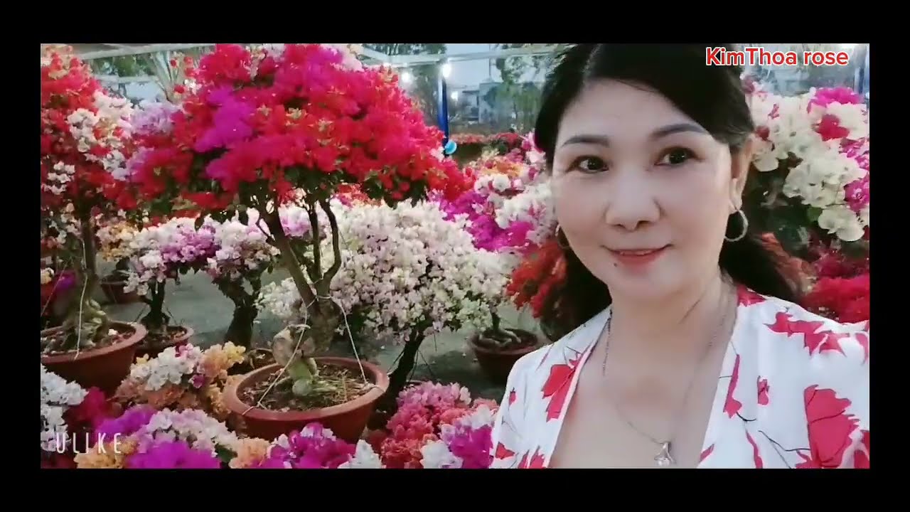 Đi chợ hoa xuân 2026