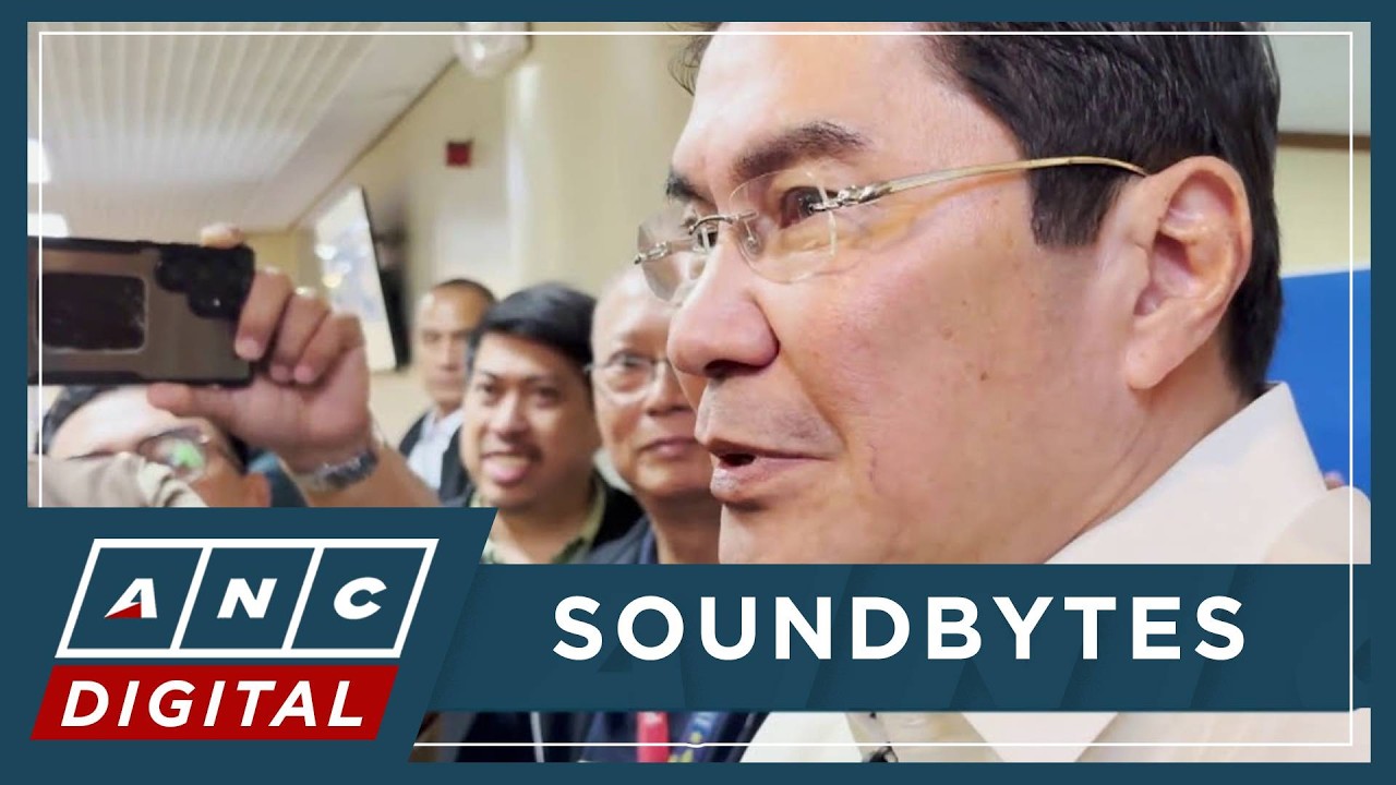Political strategist: Erwin Tulfo can be Robredo&rsquo;s running mate due to populist appeal | ANC