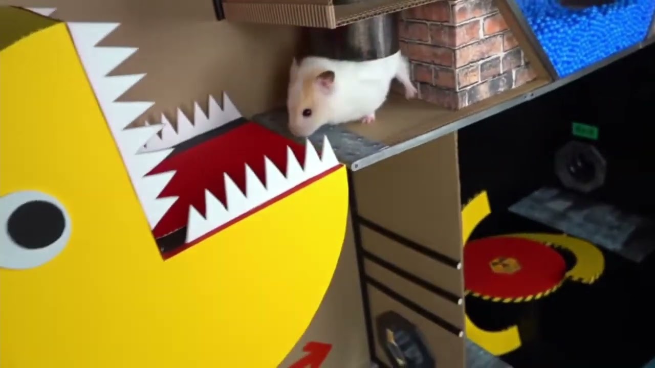 Maze hamster A-maze 