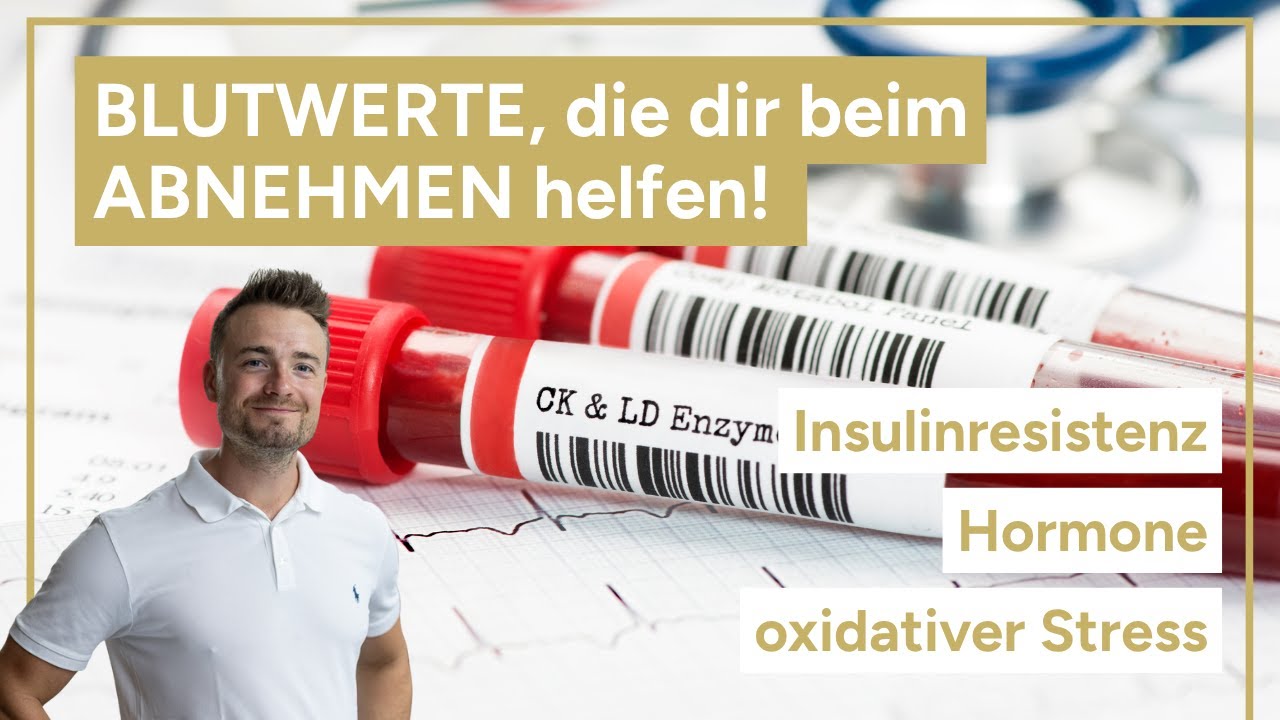 Blutwerte, die dir beim Abnehmen helfen - Insulinresistenz, Hormone und Zellstress verstehen