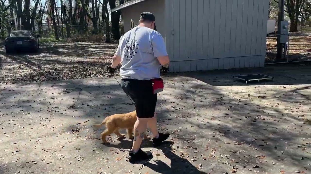 Sunny - Training 
